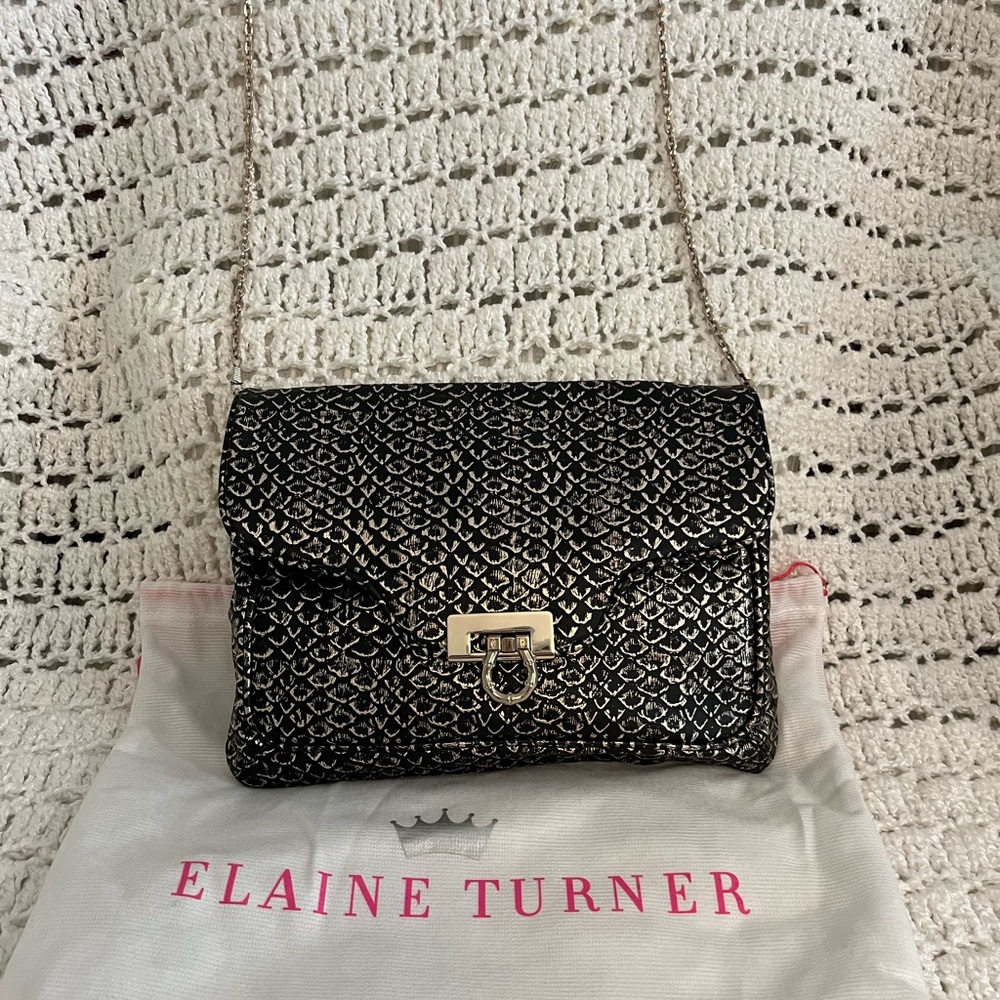 Elaine turner clutch/bag